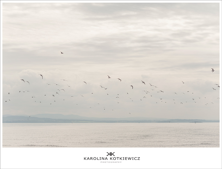 Karolina Kotkiewicz Photography