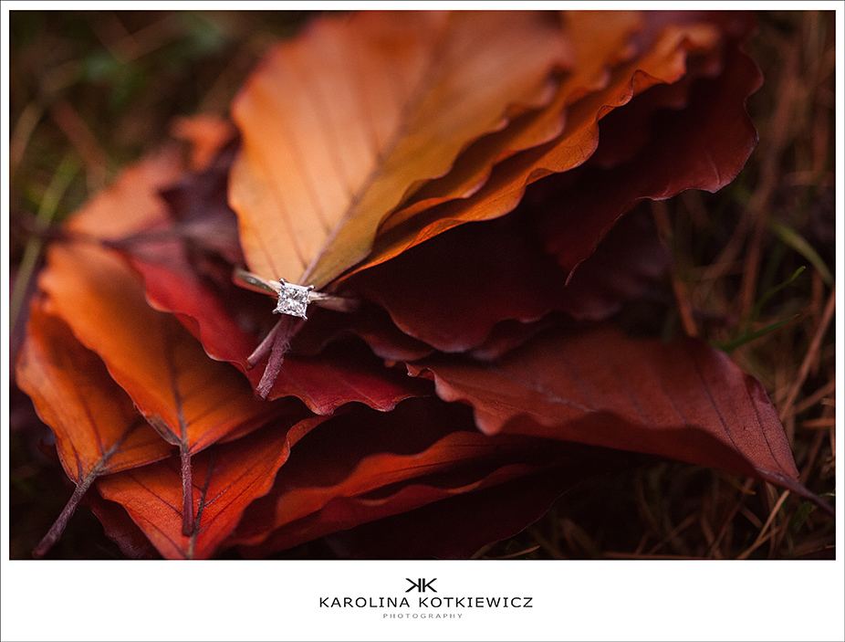 Karolina Kotkiewicz Photography