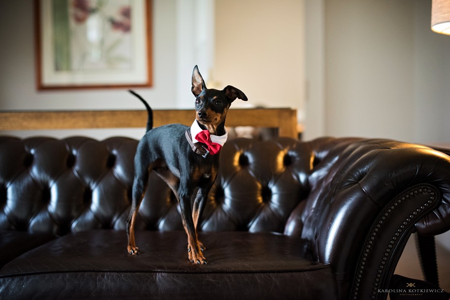 11_fairmount-st-andrews-wedding