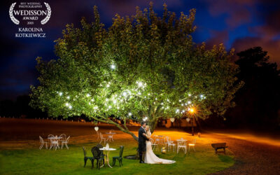 Best wedding photographer 2015 award!